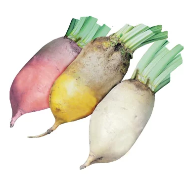 Буряк кормовий жовтий, 1 кг